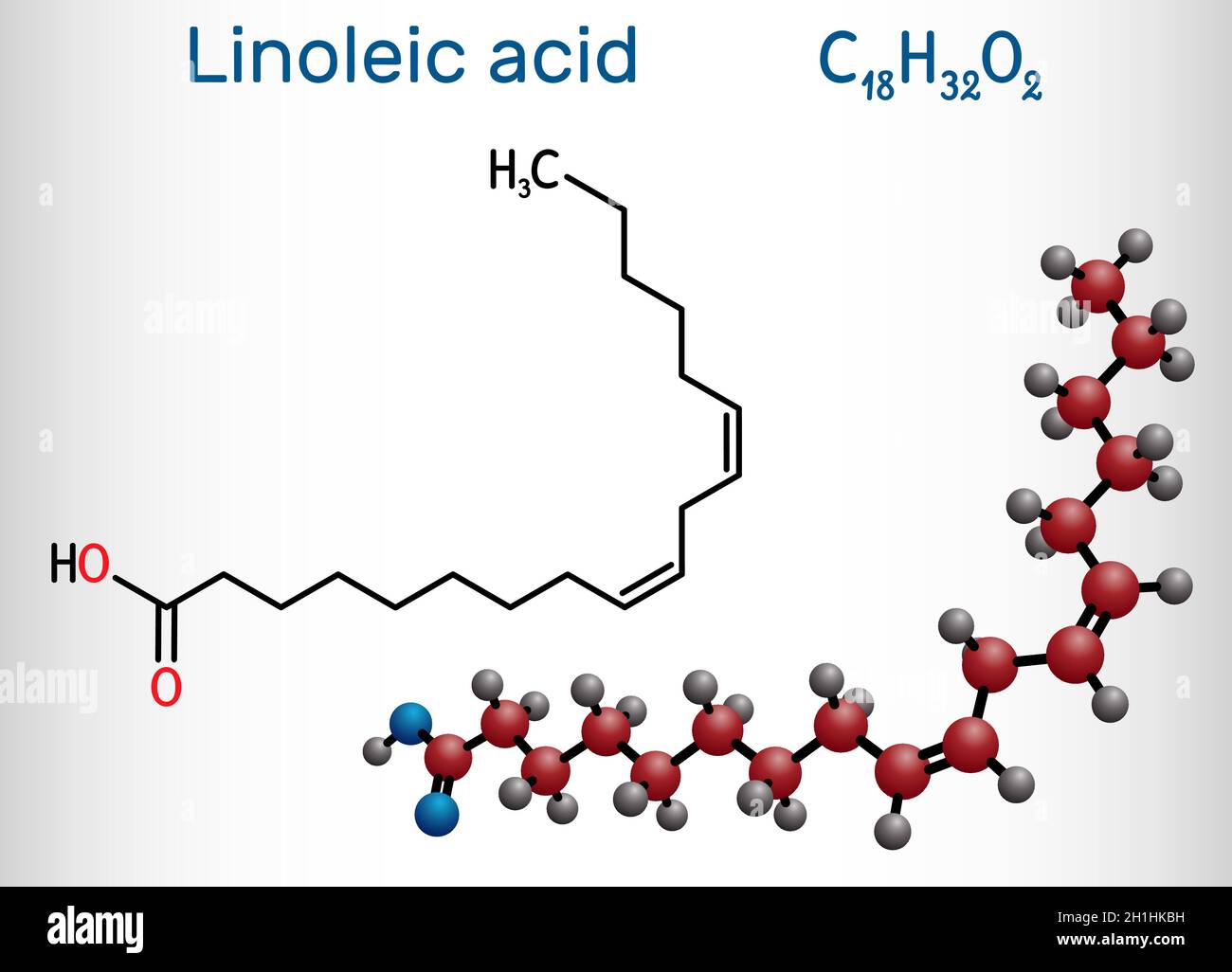 Acido linoleico, molecola LA. Omega-6, acido grasso polinsaturo. Formula  chimica strutturale e modello molecolare. Illustrazione vettoriale Immagine  e Vettoriale - Alamy