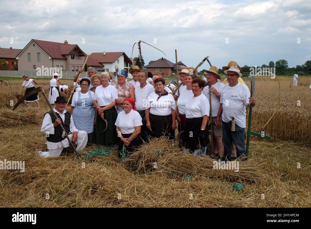 Agricoltori che posano in campo durante il raccolto a Trnovec, Croazia Foto Stock