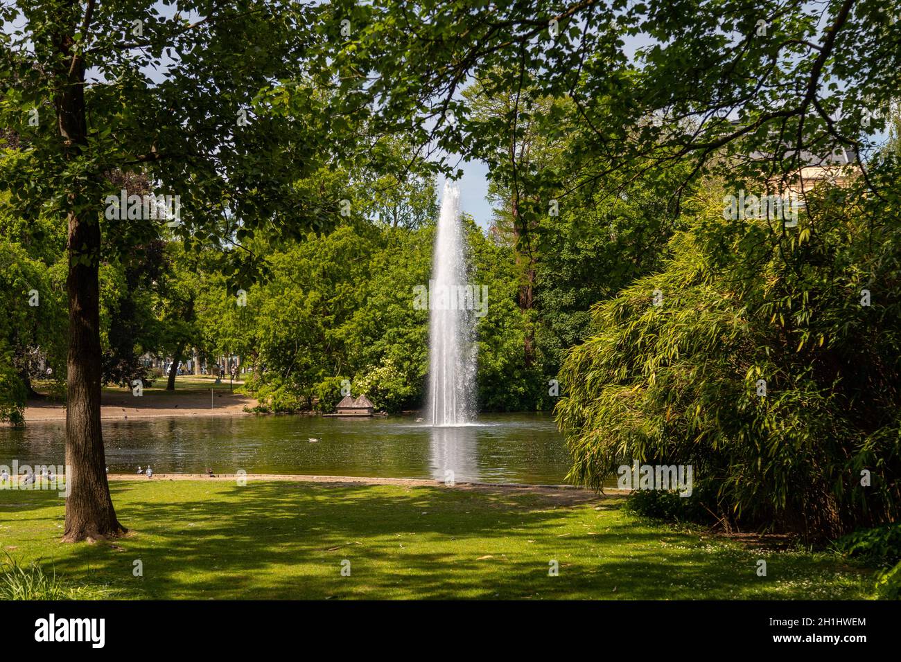 Fontana d'acqua nel parco Warmer Damm a Wiesbaden, Germania Foto Stock