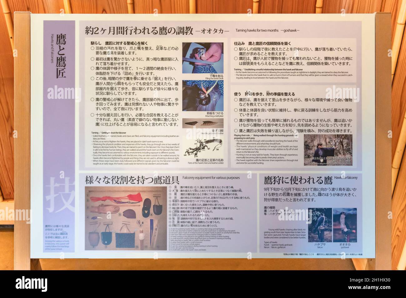 tokyo, giappone - aprile 09 2021: Pannello di istruzioni che spiega come i falconieri si addomesticare e addestrare i loro falchi per prepararli a prendere preda nel tradit Foto Stock