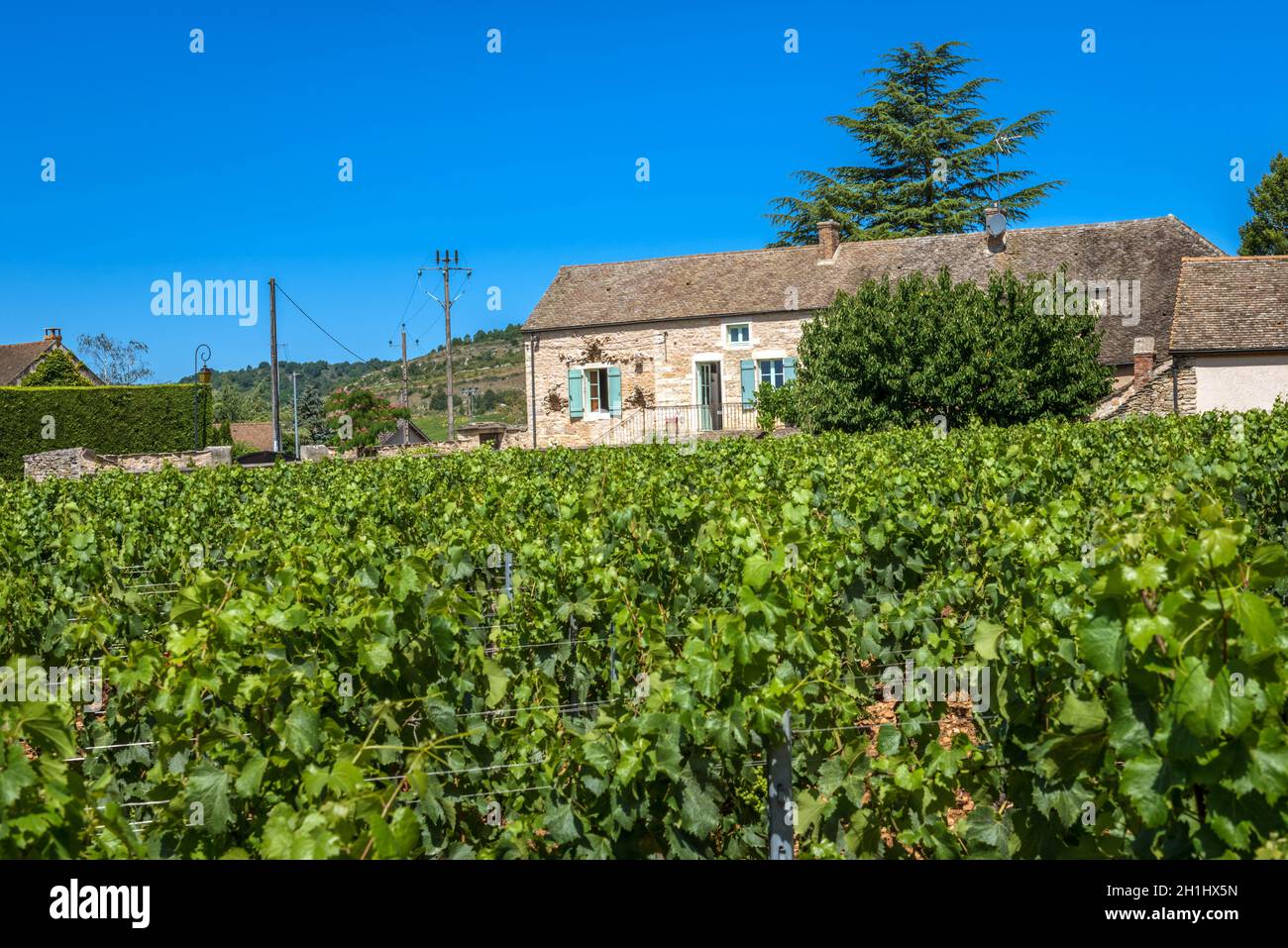 MEURSAULT, BORGOGNA, FRANCIA - 9 LUGLIO 2020: Vista alla cantina in Borgogna, Francia Foto Stock