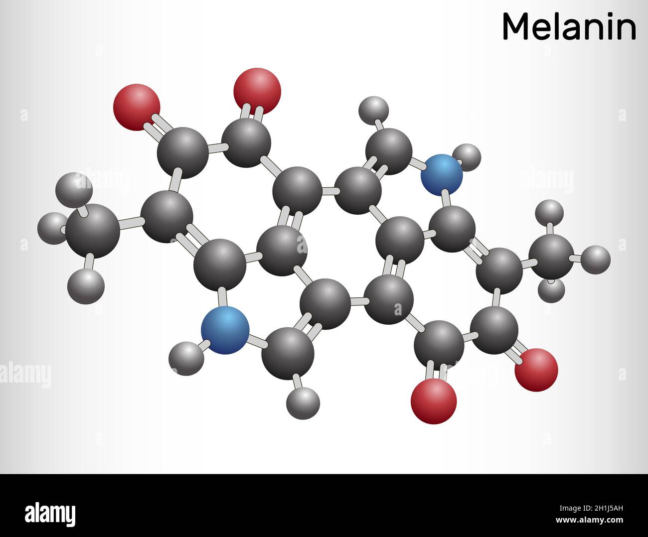Molecola di melanina. Polimeri di derivati della tirosina che si trovano  nella pelle (pigmentazione cutanea) e nei capelli e che causano l'oscurità.  Modello con sfera e bastone. Vettore i Immagine e Vettoriale -