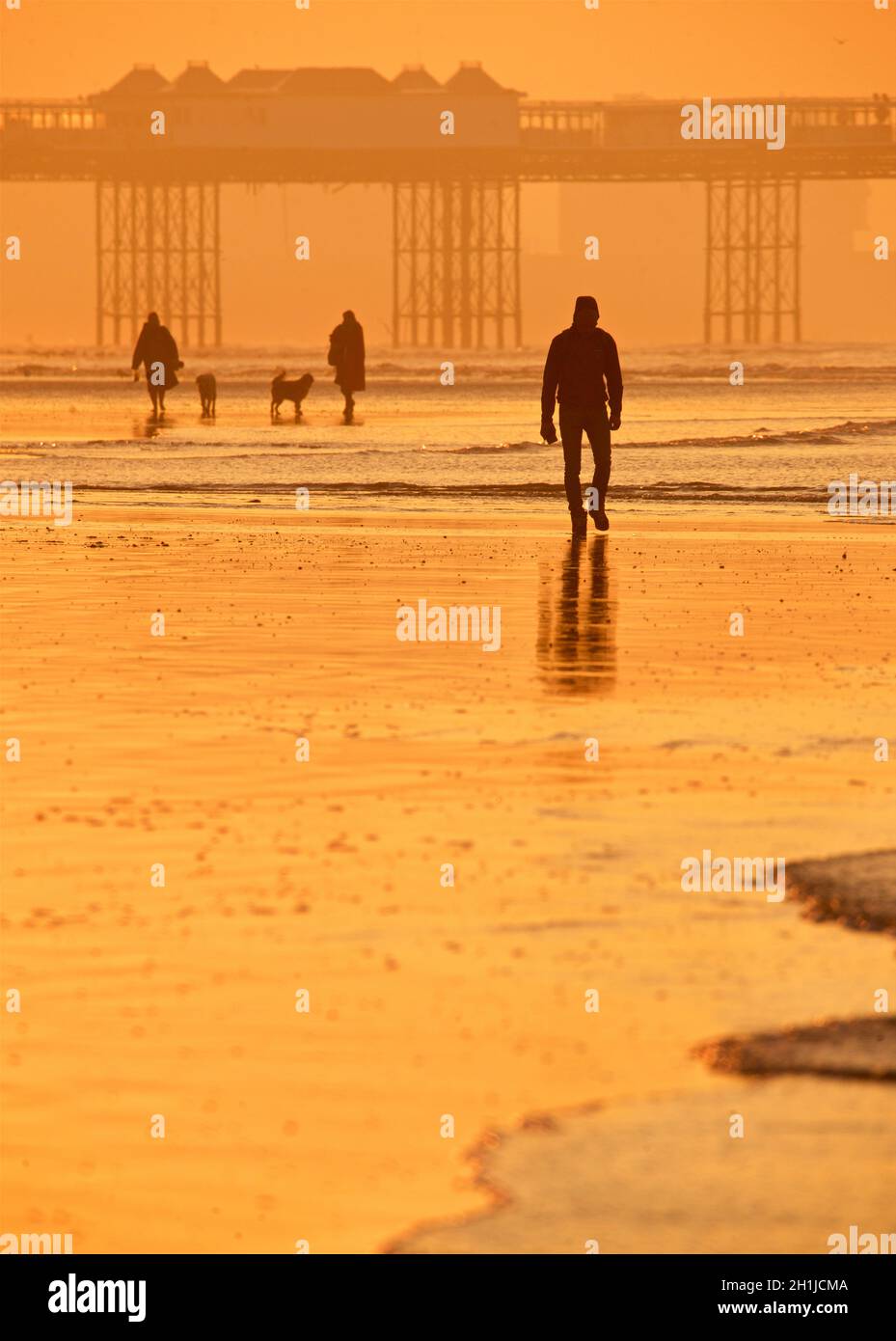Spiaggia di Brighton a bassa marea, alba. Il Palace Pier si staglia sullo sfondo. Brighton & Hove, Sussex, Inghilterra, Regno Unito Foto Stock