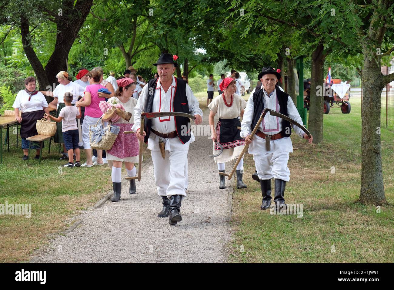 Gli agricoltori entrano nel raccolto a Trnovec, Croazia Foto Stock