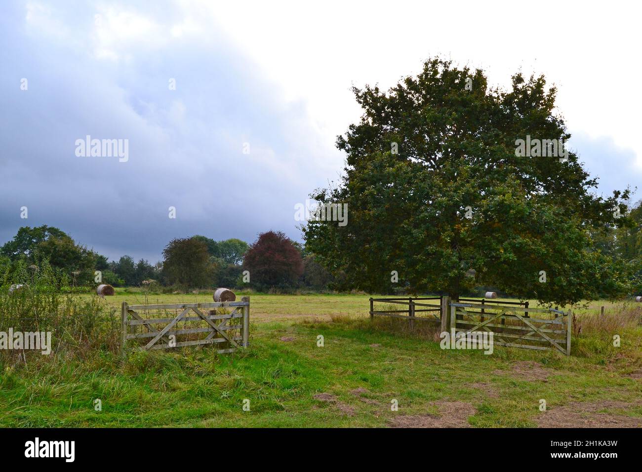 Open gate in campo con balle di fieno, a Downe, Kent adiacente alla casa di Charles Darwin, in un nuvoloso giorno di ottobre. Foto Stock