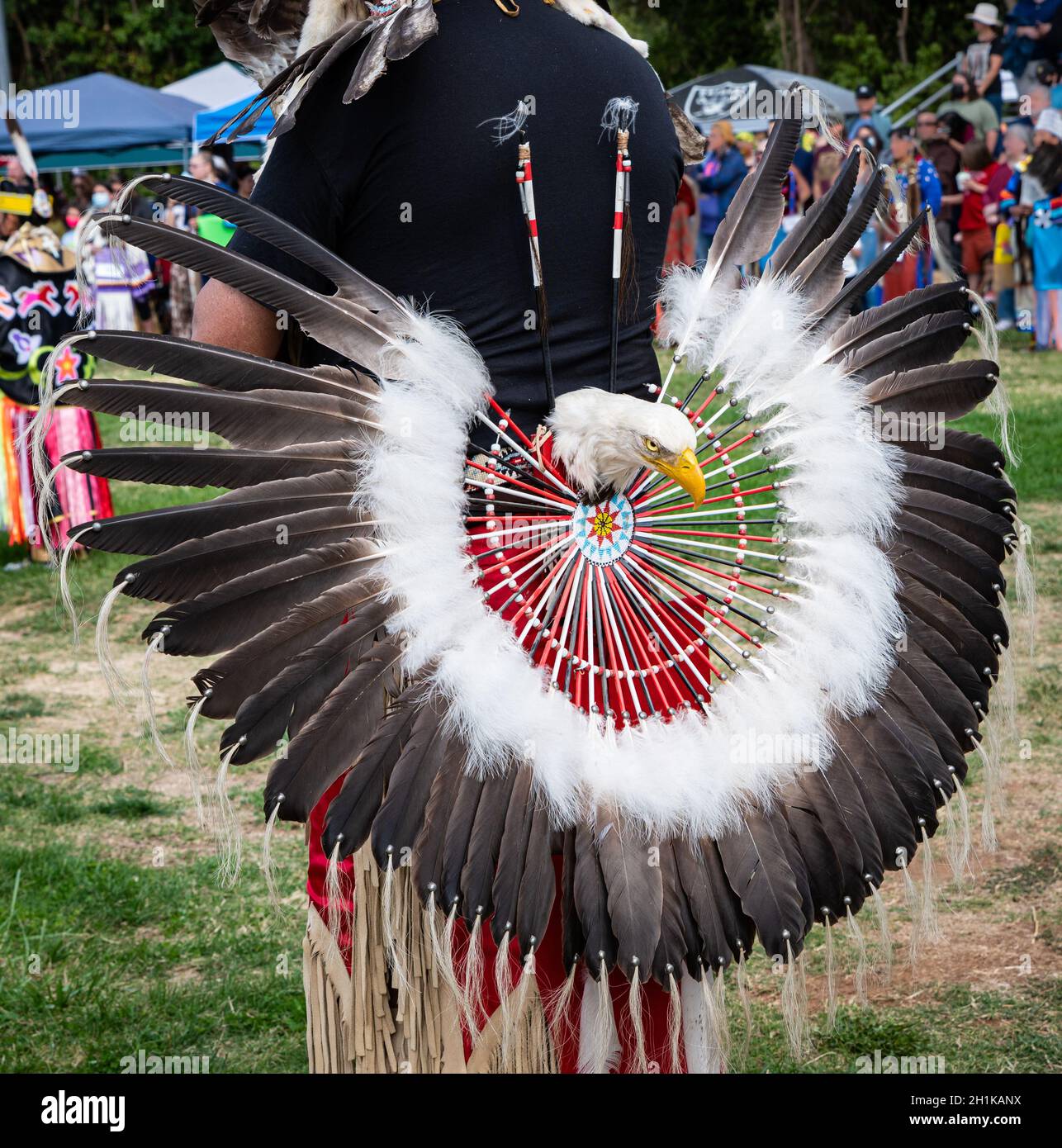 Foto di una testa di aquila e piume in un cerchio come parte della regalia di un ballerino in un evento pubblico di pow wow. Foto Stock