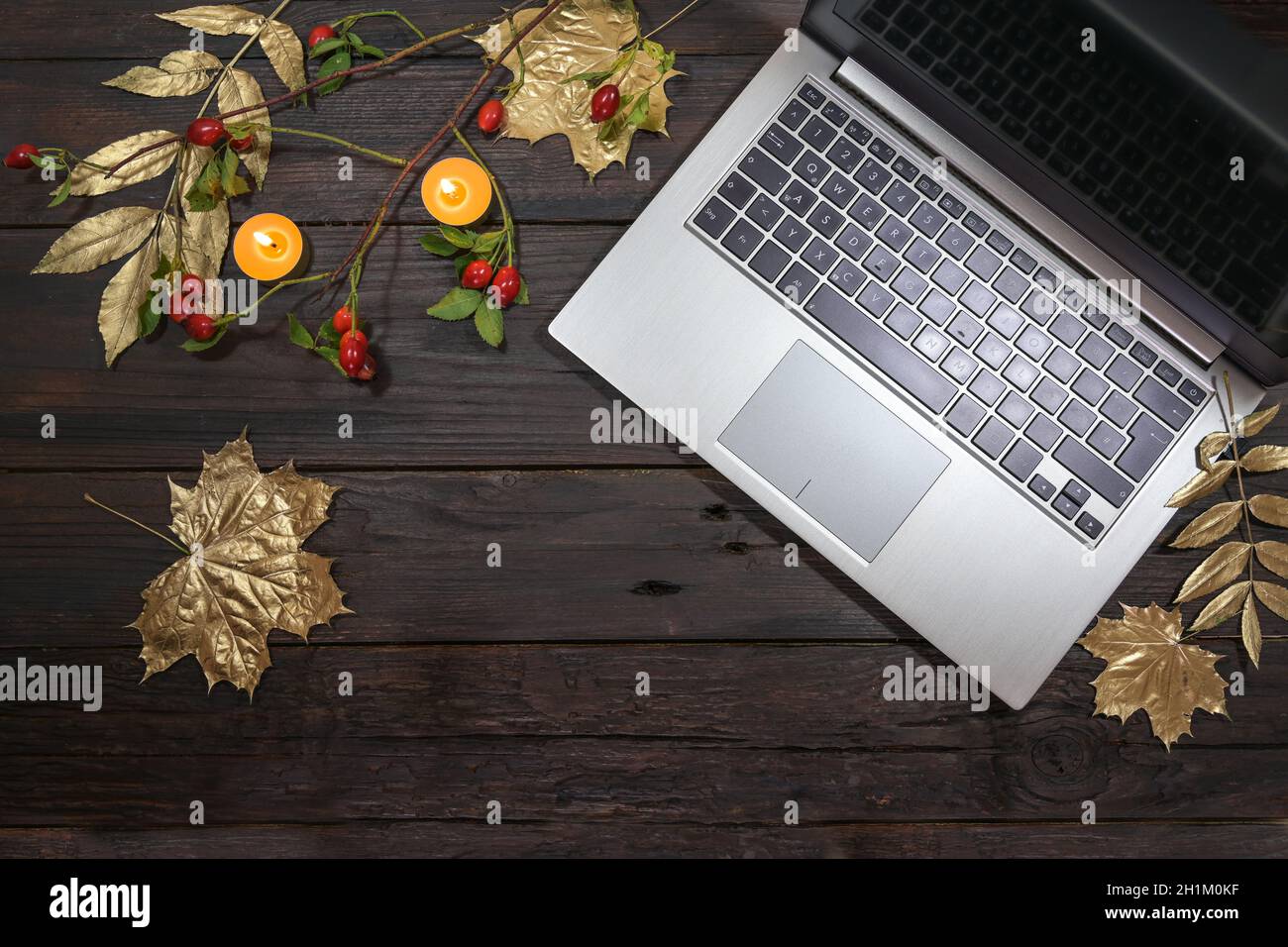 computer portatile in argento con foglie d'autunno dipinte d'oro, fianchi di rose e candele su un tavolo rustico scuro in legno, attività stagionali in ufficio casa, fla Foto Stock