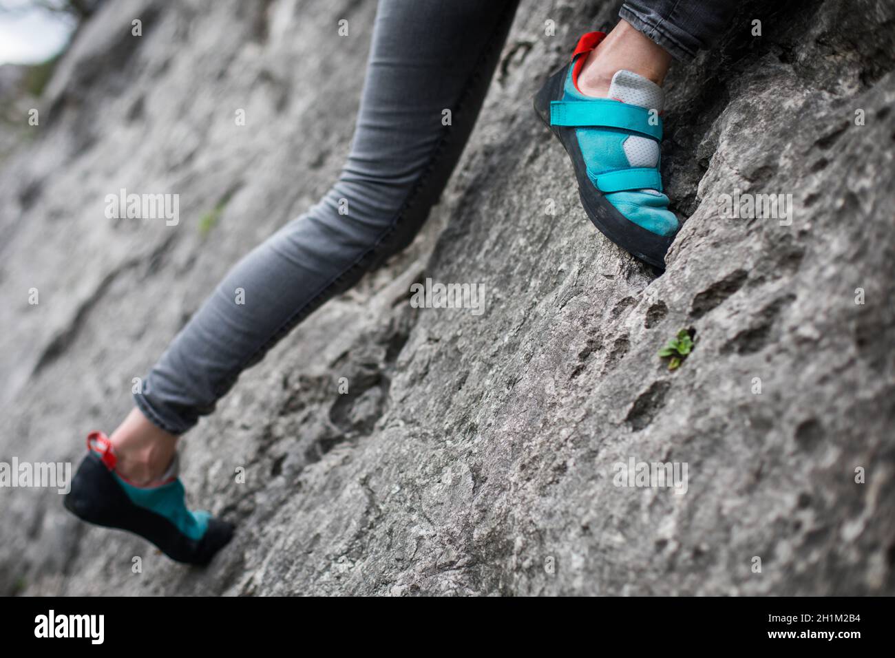 Primo piano o una persona che si arrampica indossando scarpe da arrampicata. Foto Stock