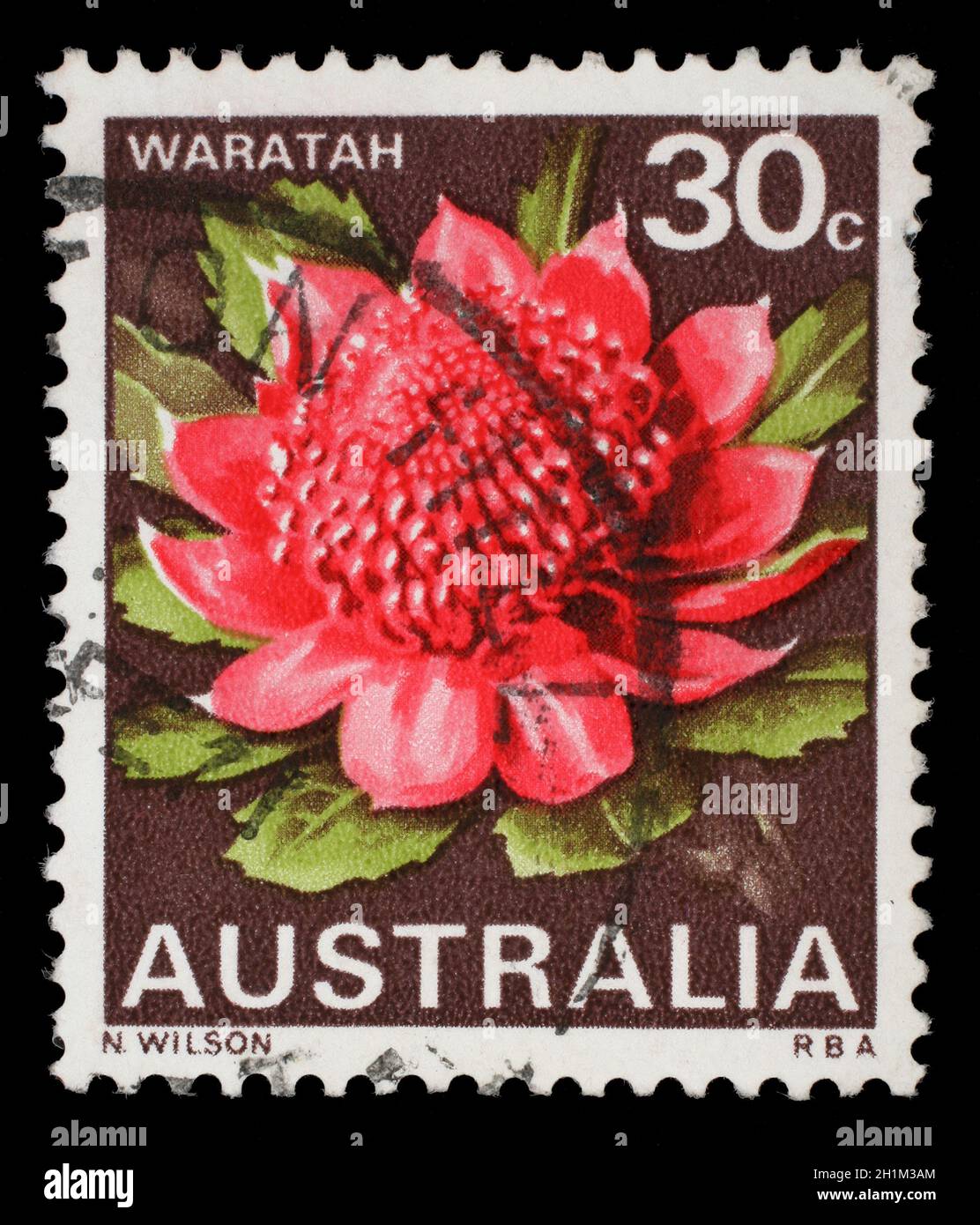 Timbro stampato in Australia mostra Waratah, Nuovo Galles del Sud, Stato Fiore, circa 1968 Foto Stock