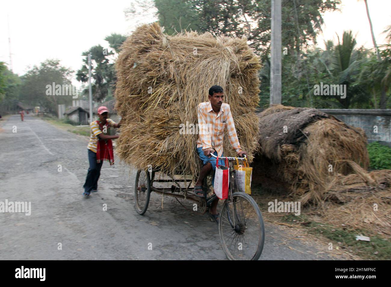 Il pilota di rickshaw trasporta il riso dalla casa di fattoria in Baidyapur, Bengala Occidentale, India Foto Stock