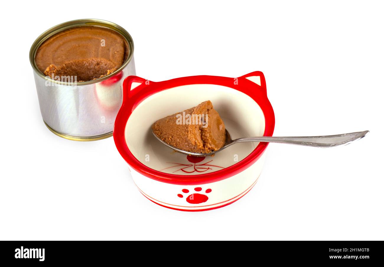 Il cibo bagnato per cane e gatto in ciotola colorata isolato su sfondo bianco Foto Stock