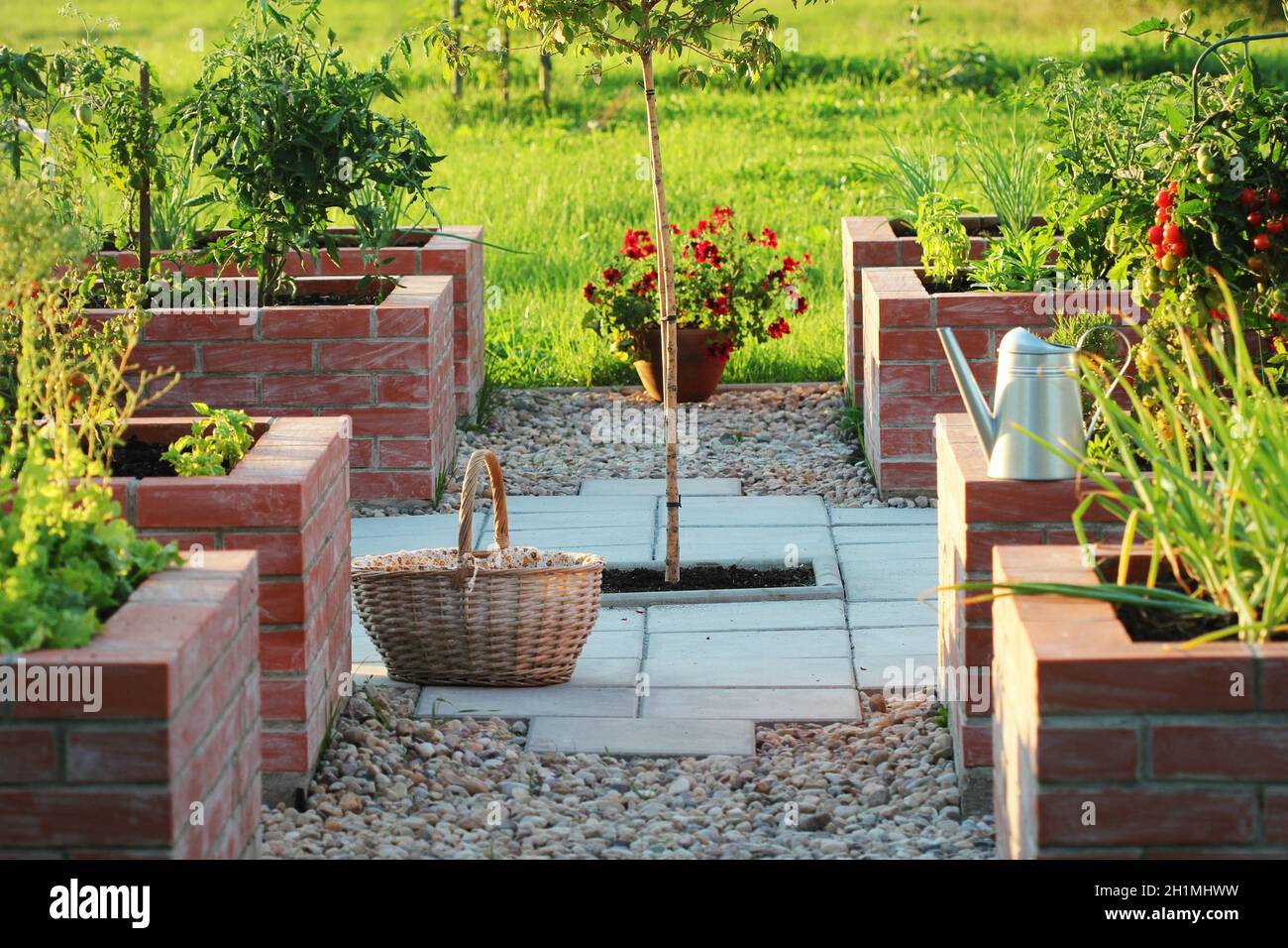 Un moderno orto con letti a ponte rialzati. .Raised letti giardinaggio in un giardino urbano coltivando piante erbe spezie bacche e verdure . Foto Stock