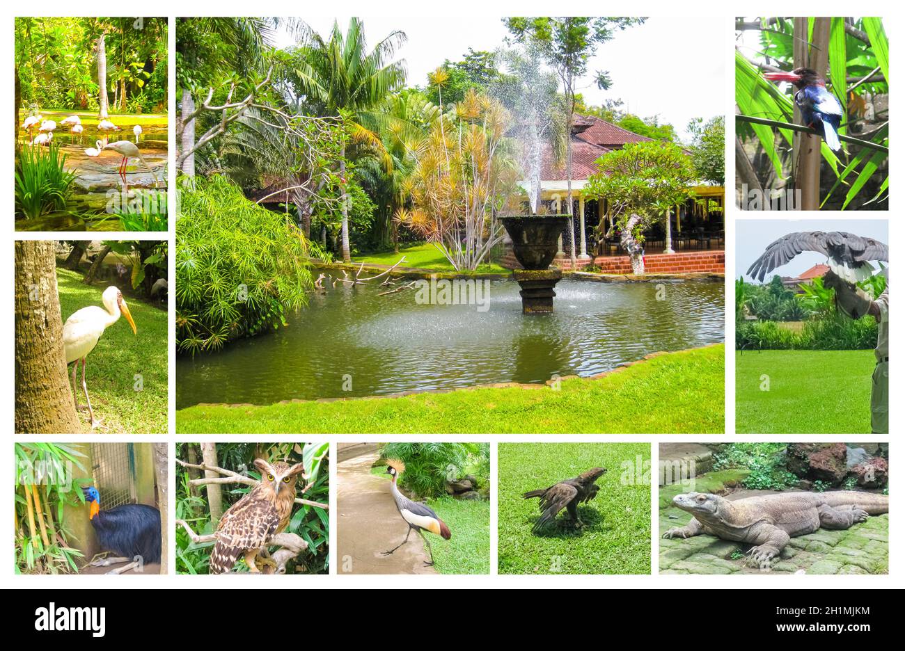 Tradizionale casa Balinese in un giardino verde. Bali Bird Park. Foto Stock