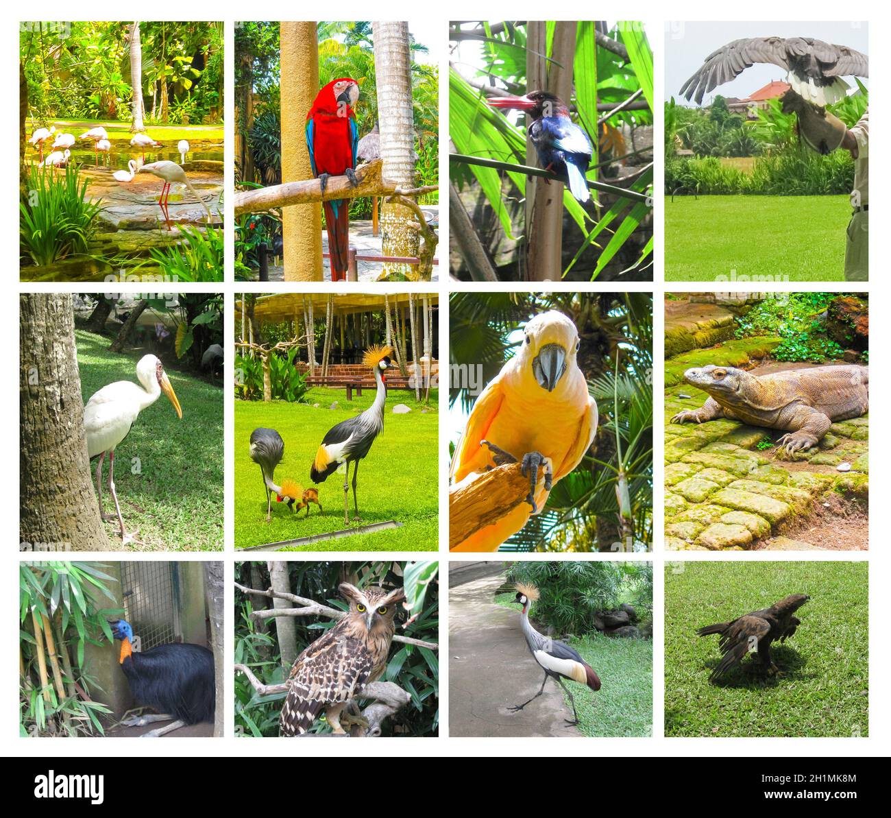 Tradizionale giardino Balinese verde. Bali Bird Park. Foto Stock