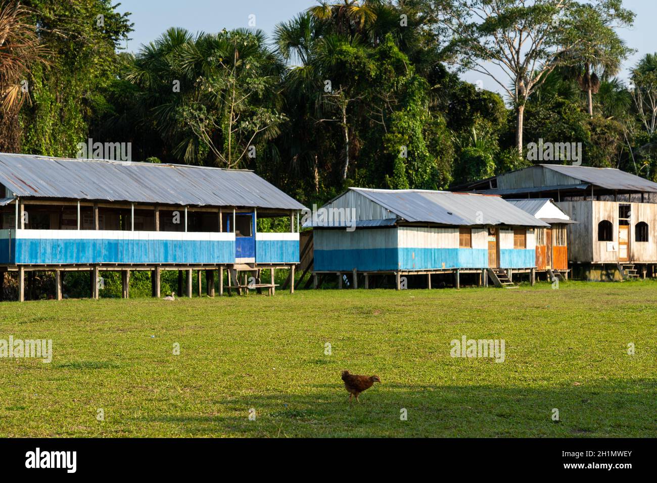 Fiume del amazon Foto Stock