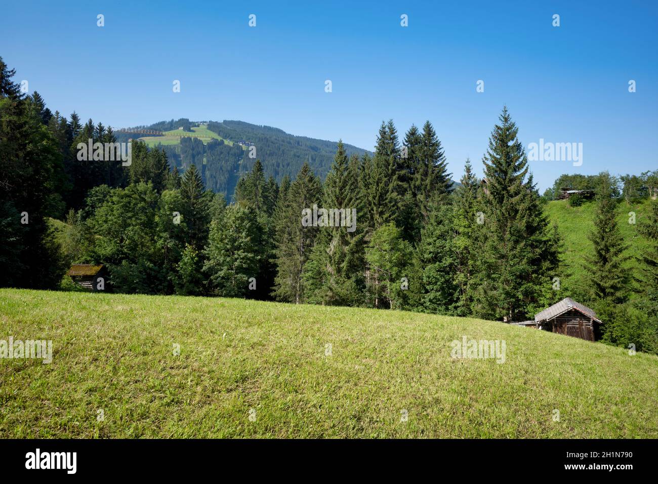 Montagne sepolte nel verde. Casa in montagna, Croazia Foto Stock