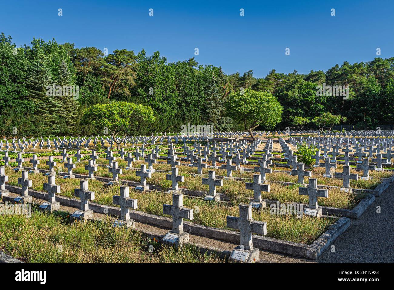 Stare Lysogorki, Polonia, giugno 2019 file di tombe nel cimitero militare per i soldati caduti dalla prima Esercito Polacco che ha partecipato all'attraversamento di Foto Stock