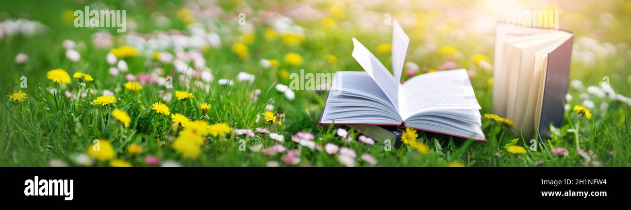 Apri libro in erba sul campo il giorno di sole in primavera. Bel prato con daisy e fiori di dente di leone in primavera. Lettura e conoscenza con Foto Stock