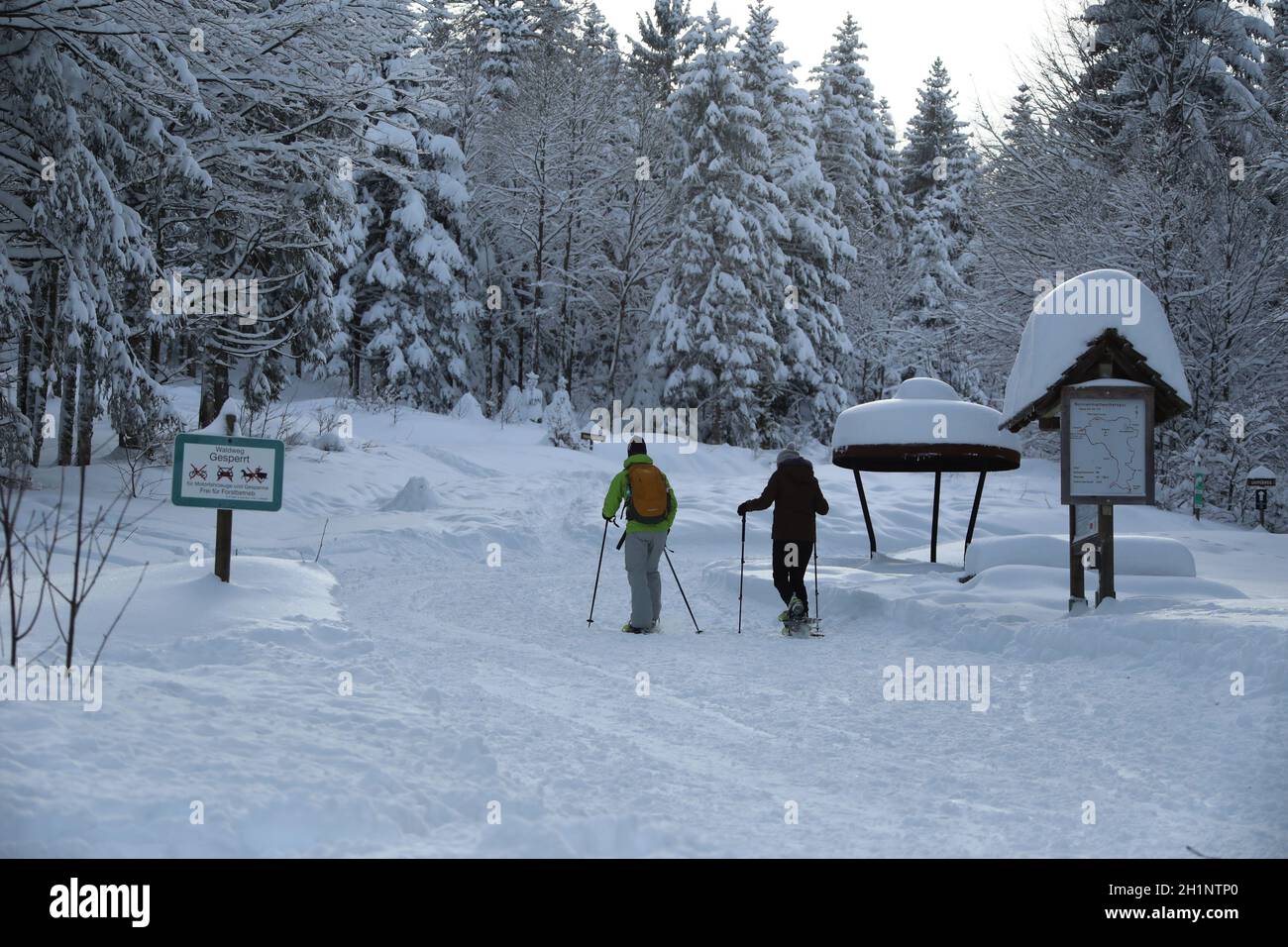 Themenbild - Wintereinbruch im Schwarzwald - Schneeschuhwanderer beim Einstieg in die Nonnenmattweiherspur Foto Stock