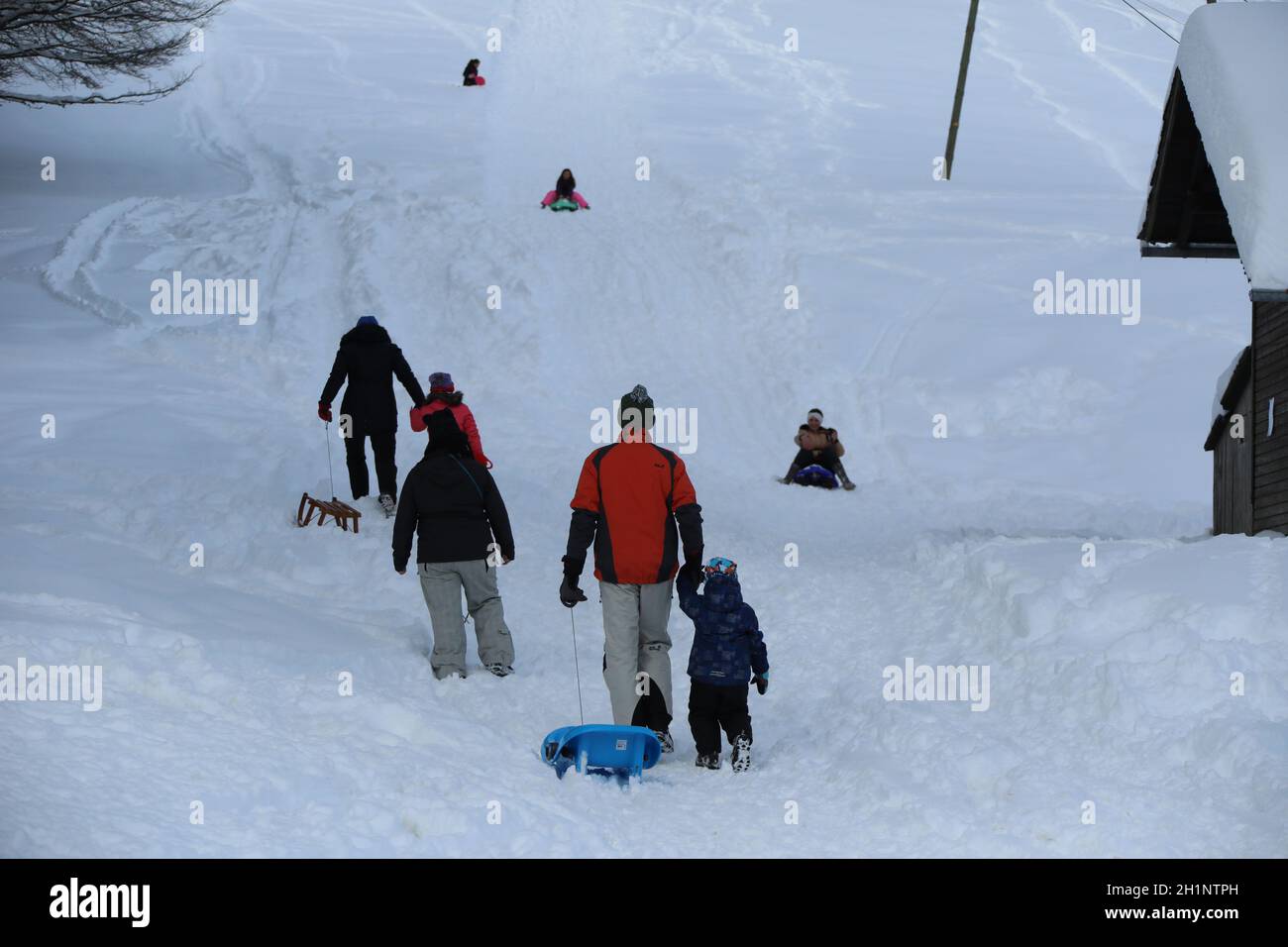 Themenbild - Wintereinbruch im Schwarzwald - Der Skilift Steht still. Eltern nutzen die Gelegenheit für eine Rodelpartie mit den Kindern Foto Stock