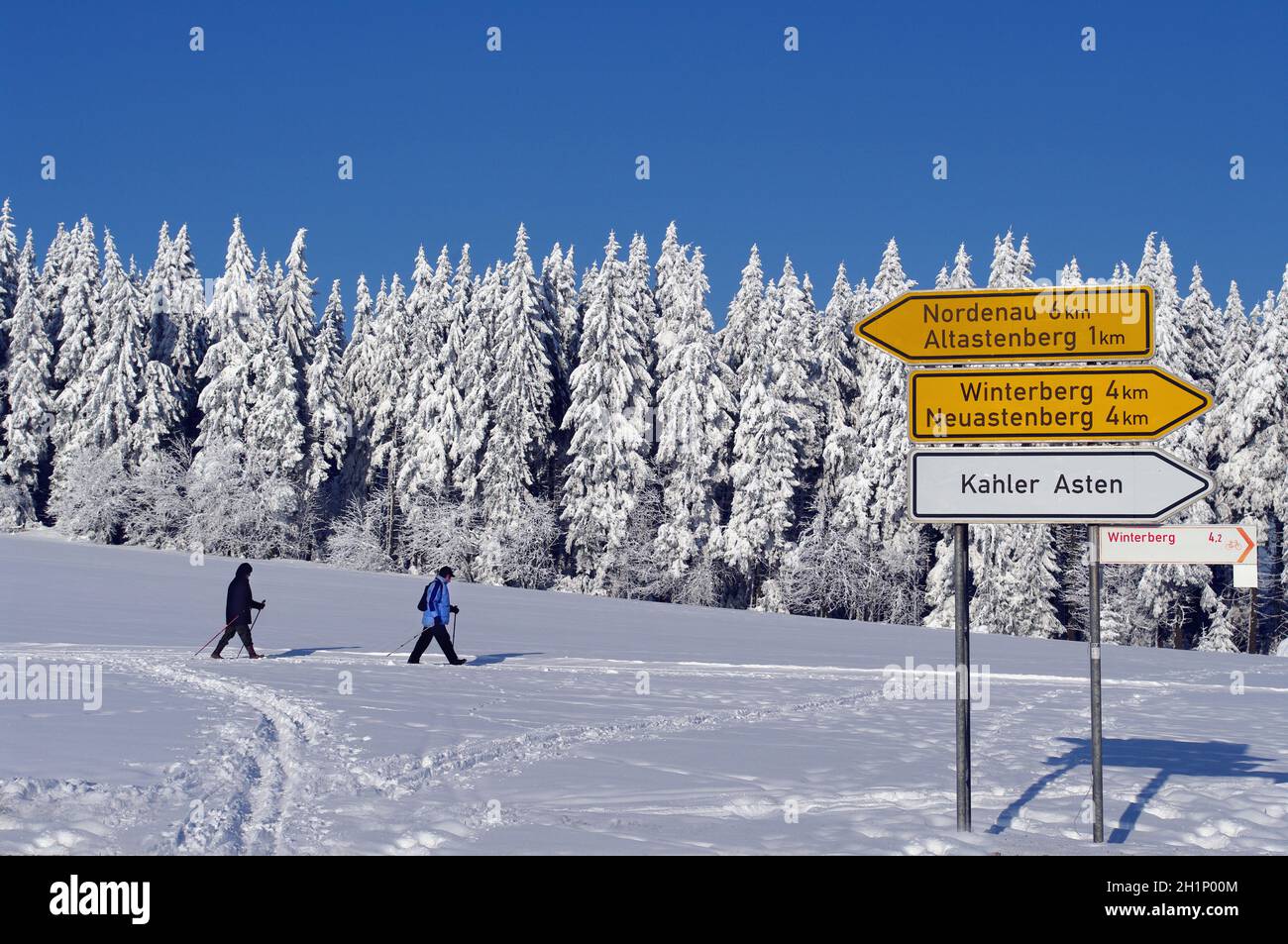 Schneebedeckte Bäume im Astenmassiv im Rothaargebirge vor blauem Winterhimmel mit Wanderern und Verkehrsschildern . Der Kahle Asten im Astenmassiv è Foto Stock