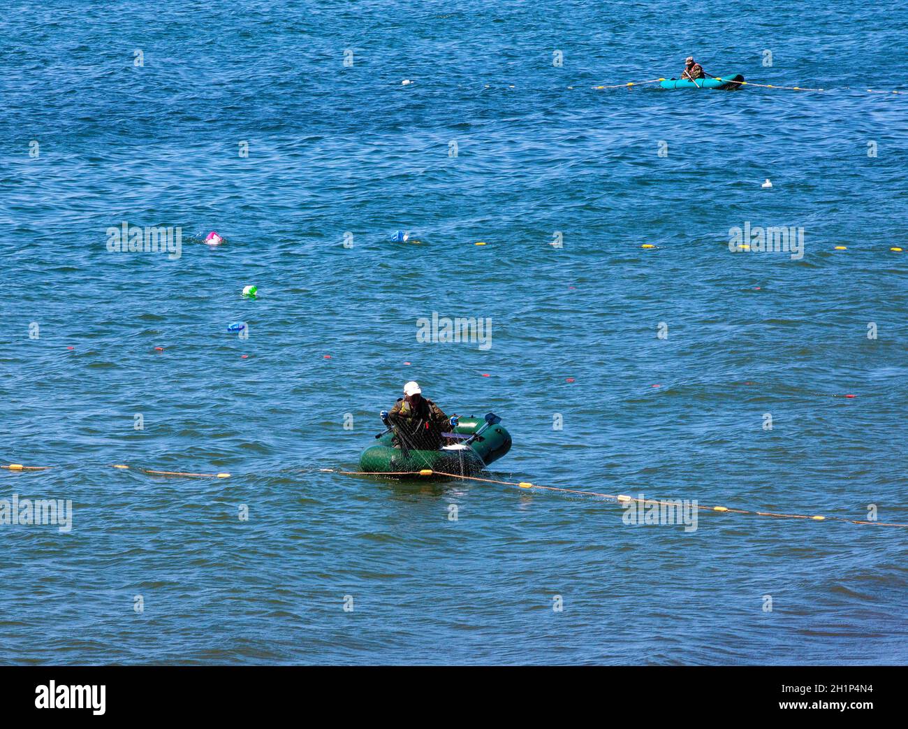 Pescatore sulla barca di gomma si ritiene che le catture di salmone su rete l'oceano pacifico Foto Stock