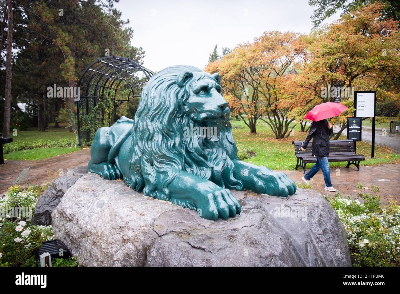 La scultura Lion la Feuille in una giornata di pioggia nel Giardino Botanico di Montreal. Il leone fu donato a Montreal dalla città di Lione, Francia. Foto Stock