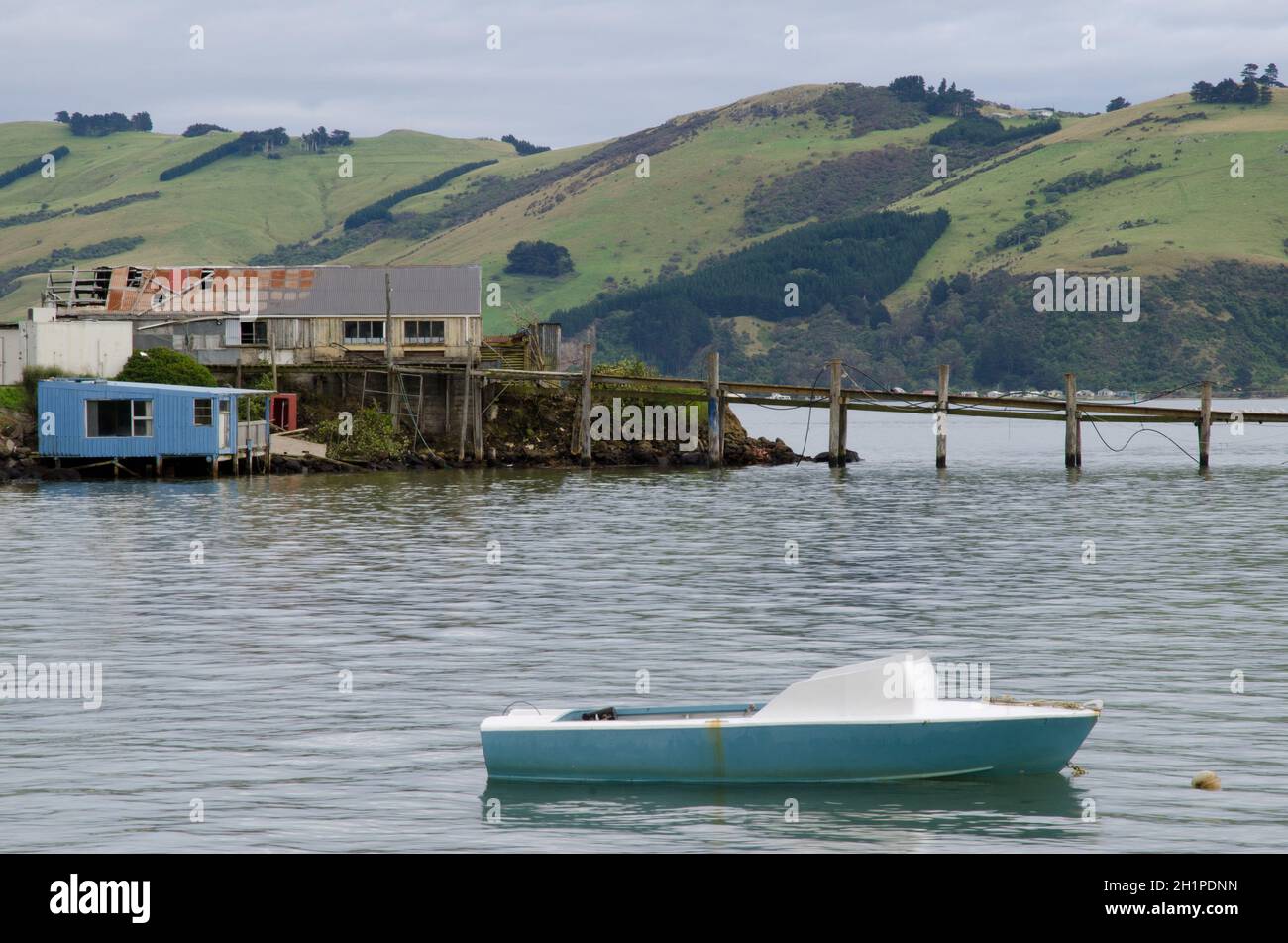 Paesaggio nel porto di Otago. Penisola di Otago. Otago. Isola Sud. Nuova Zelanda. Foto Stock
