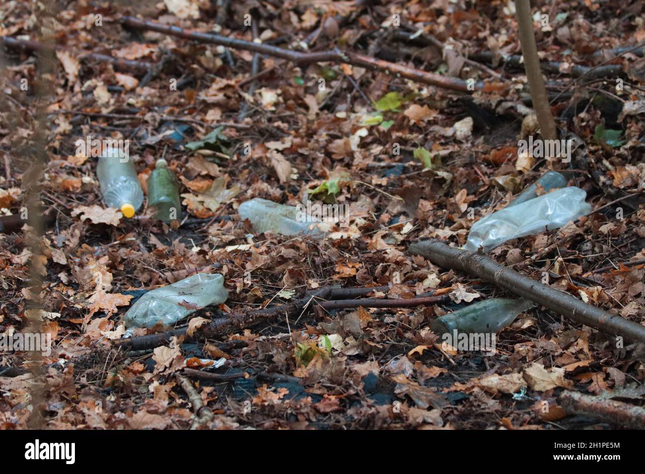 Inquinamento globale dell'ambiente e delle foreste causato dagli imballaggi in plastica. Foto Stock