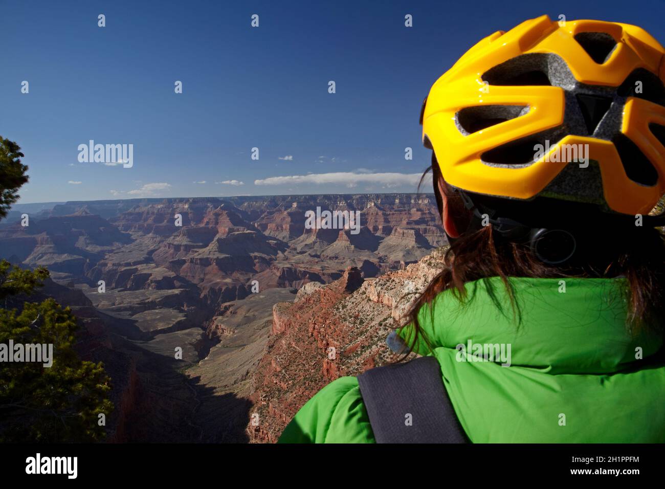 Ciclista sul South Rim Trail, e Grand Canyon, Grand Canyon National Park, Arizona, USA (modello rilasciato) Foto Stock