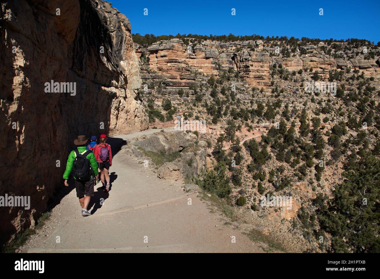 People hiking Bright Angel Trail, South Rim, Grand Canyon, Grand Canyon National Park, Arizona, USA (modello rilasciato) Foto Stock