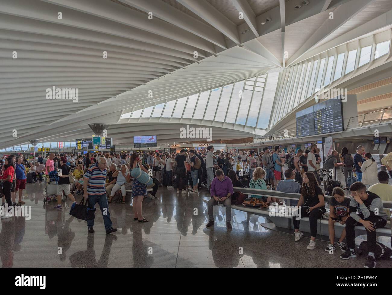 Terminal passeggeri all'aeroporto di Bilbao, progettato da Santiago Calatrava, Spagna Foto Stock