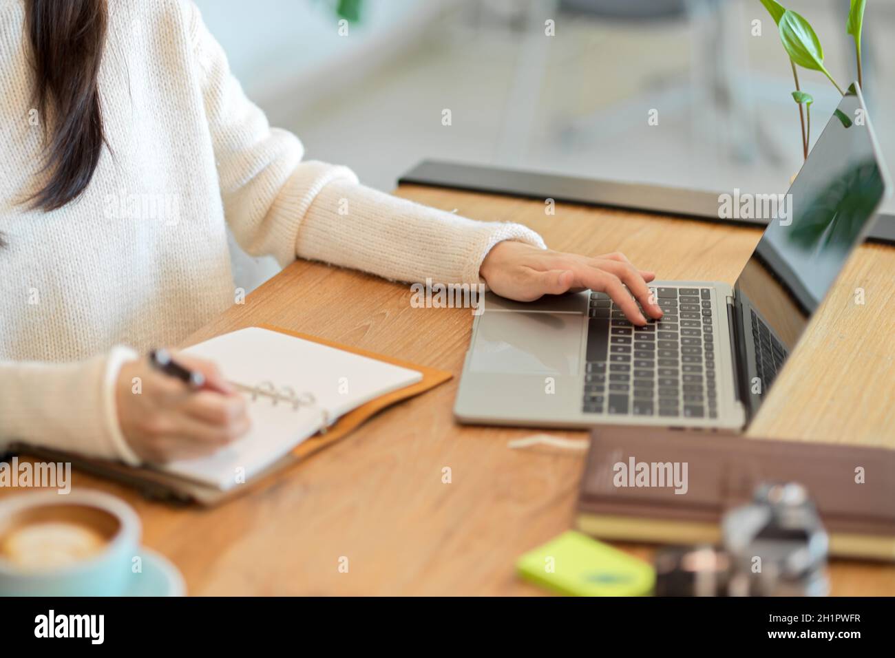 Vista laterale di un'attraente imprenditore femminile che utilizza un notebook per analizzare e pianificare il suo modello di business e un notebook per abbattere le idee. Foto Stock