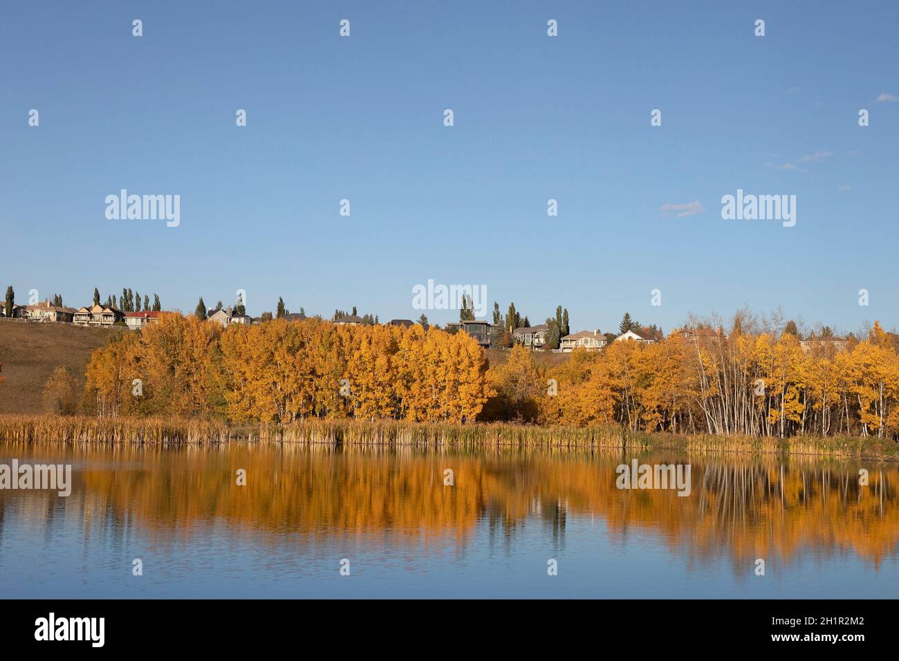 Laghetto di raccolta delle acque piovane, un sistema di gestione delle acque in un parco naturale suburbano. Alberi di aspen tremanti di colore autunnale Foto Stock