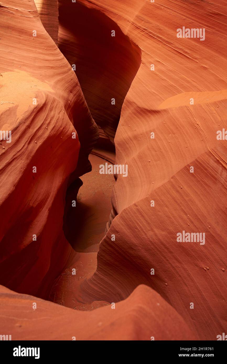 Erosi formazioni arenarie in Rattlesnake Canyon, vicino a pagina, Navajo Nation, Arizona, Stati Uniti d'America Foto Stock