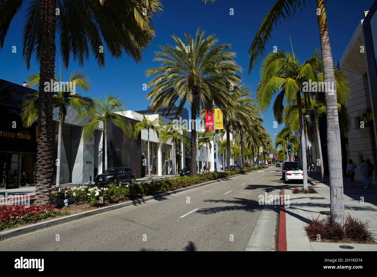 Palme su Rodeo Drive, il lusso, la strada dello shopping di Beverly Hills, Los Angeles, California, Stati Uniti d'America Foto Stock
