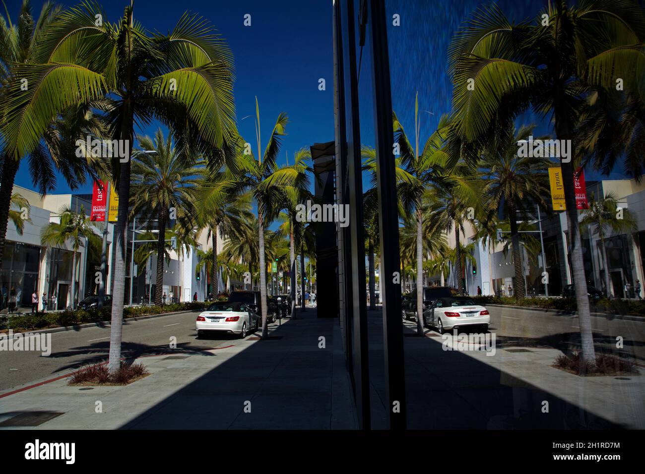 Palm Trees and window reflection, Rodeo Drive, strada dello shopping di lusso a Beverly Hills, Los Angeles, California, USA Foto Stock