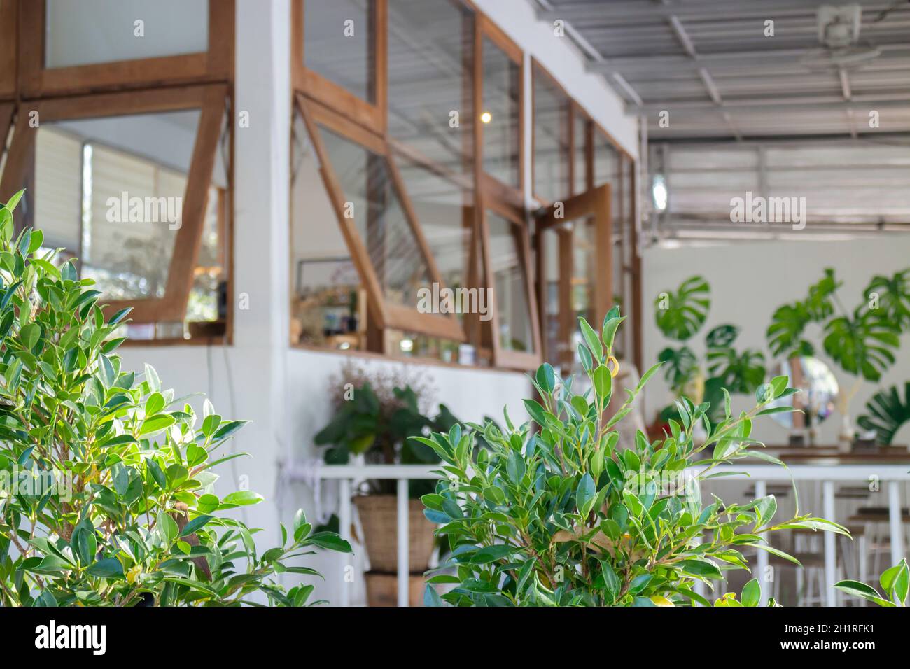Si è raffreddato al minimal coffee shop, si è fatto una foto di scorta Foto Stock