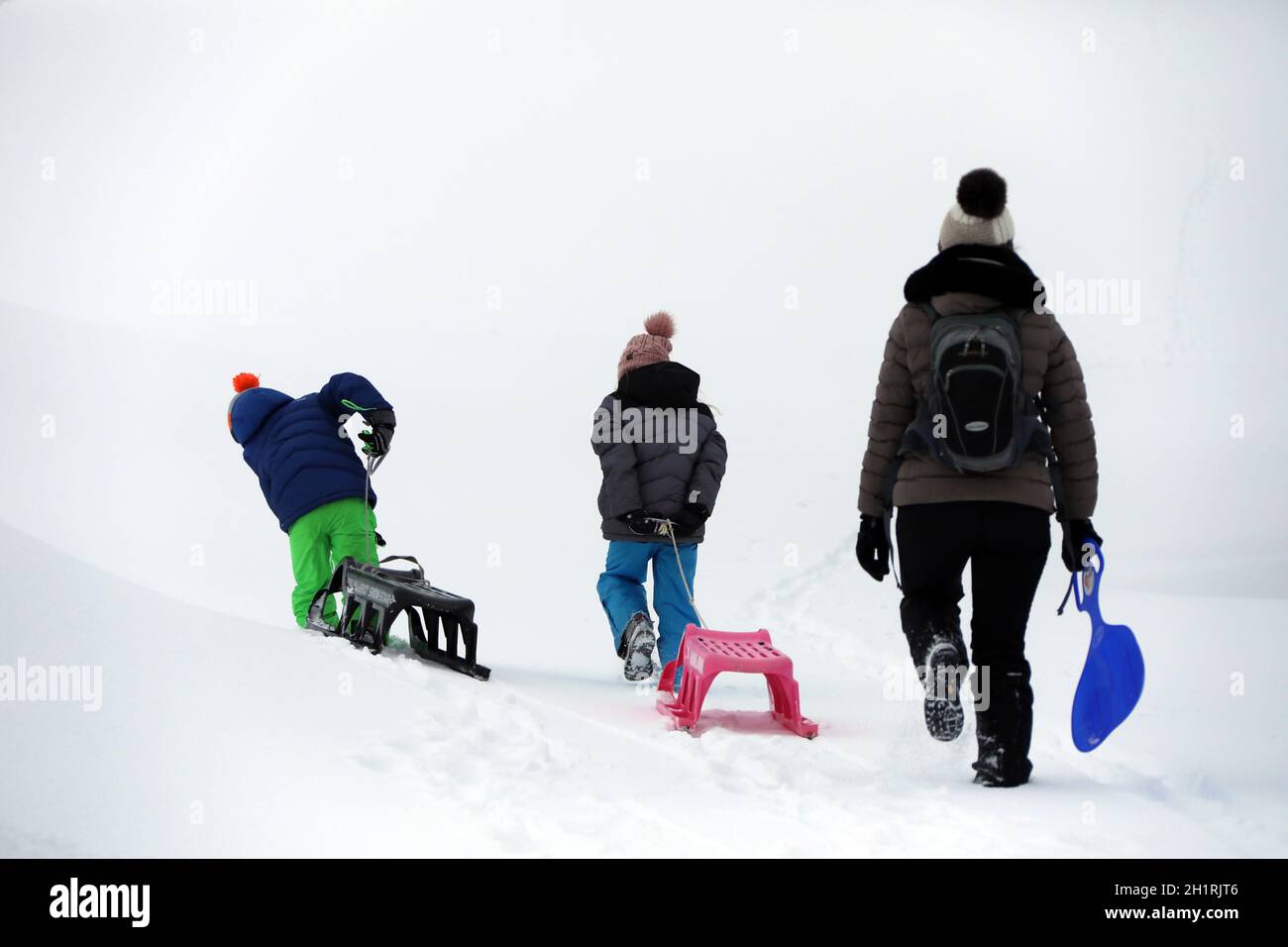Eine Frau tummelt sich mit ihren beiden Kindern mit dem Schlitten im frischen Neuschnee am Feldberg Starker Wintereinbruch im Landkreis-Breisgau Hoch Foto Stock
