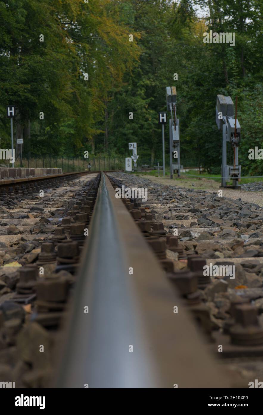 Treno dal trai tedesco chiamato Molly vicino alla città tedesca Bad Doberan, Mecklenburg-Vorpommern Foto Stock