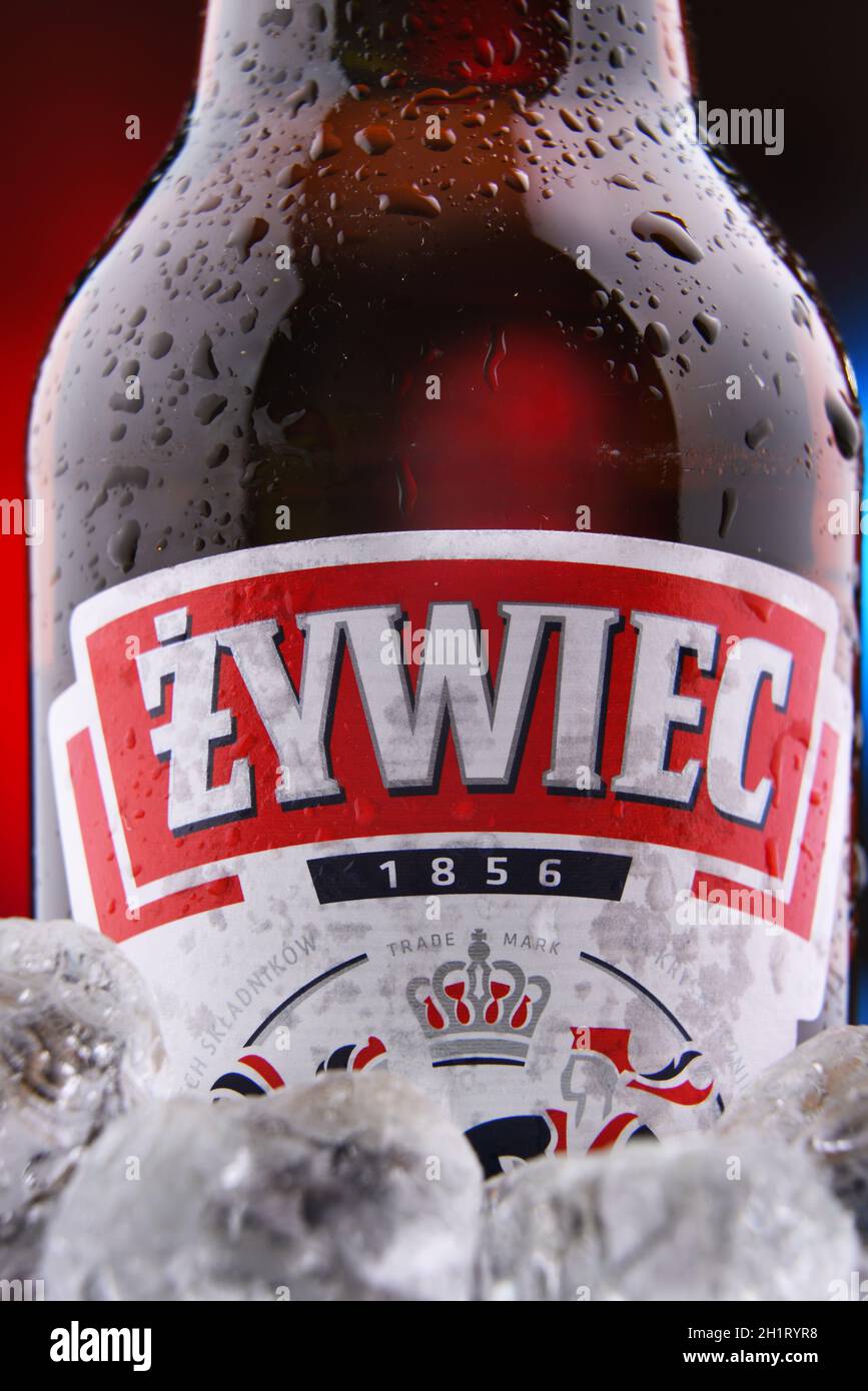 POZNAN, POL - 18 FEBBRAIO 2021: Bottiglia di birra Zywiec, una lager pallida, prodotta in Polonia dal gruppo Zywiec, di proprietà di Heineken International Sinc Foto Stock