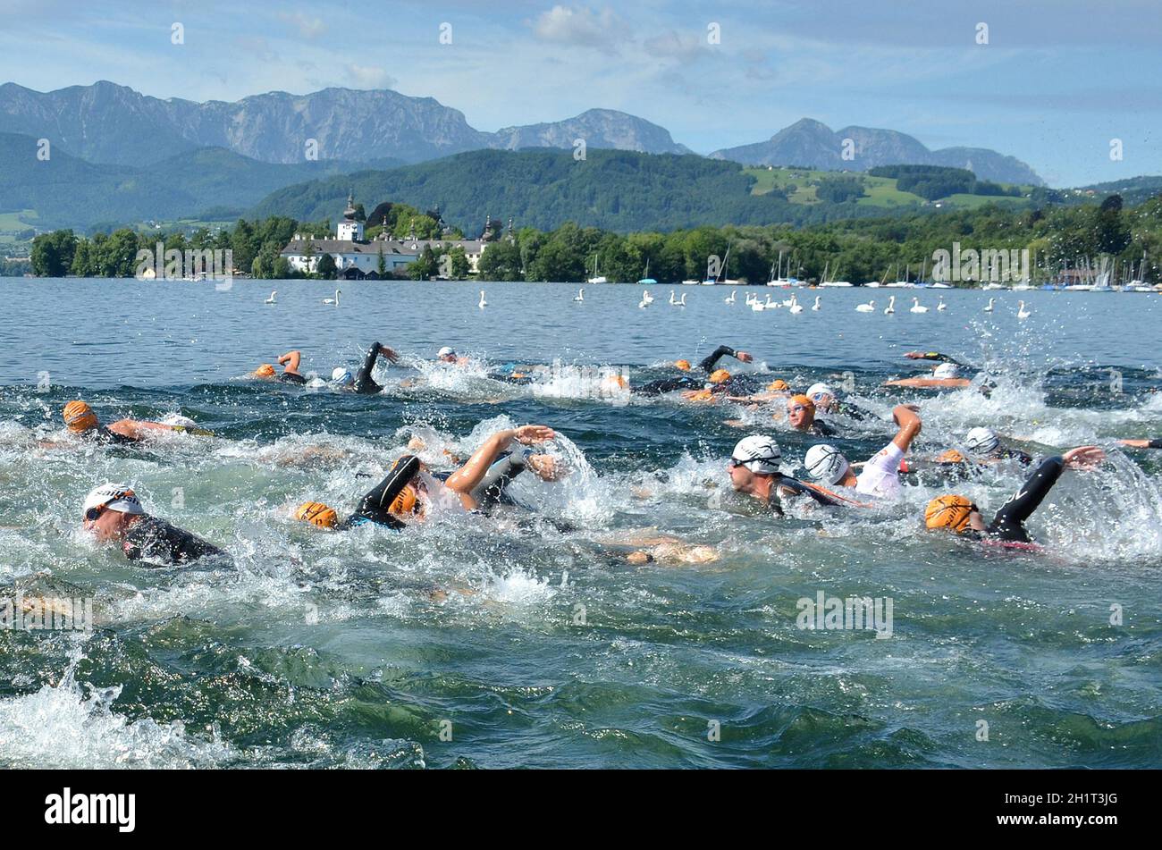 Schwimmbewerb beim Aqua-Duathlon a Gmunden am Traunsee (Salzkammergut) - gara di nuoto al duathlon aqua a Gmunden am Traunsee (Salzkammer Foto Stock