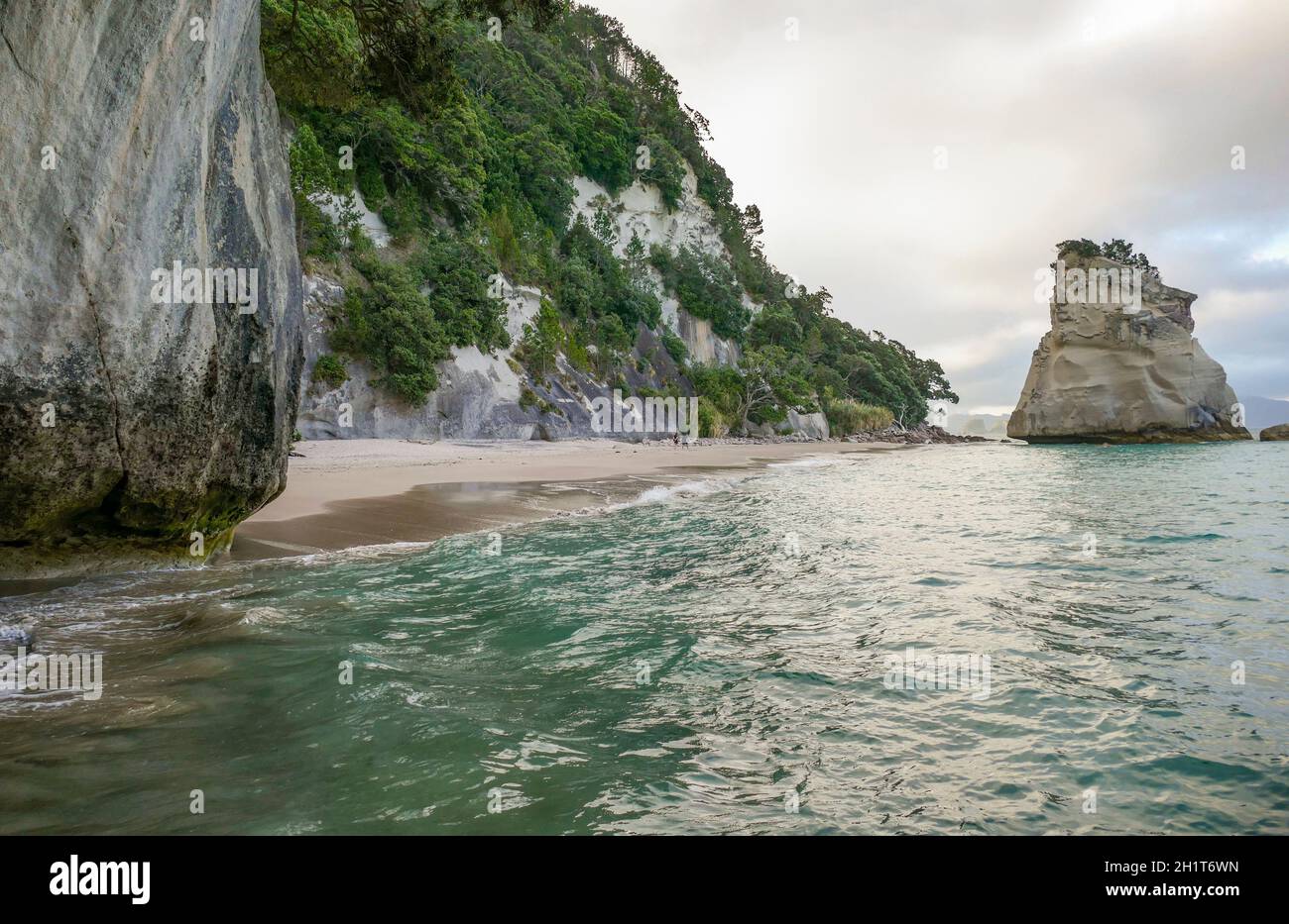 Te Hoho Rock in un'area costiera chiamata Cathedral Cove Nella parte meridionale di Mercury Bay sul Coromandel Penisola all'Isola del Nord della Nuova Zelanda Foto Stock