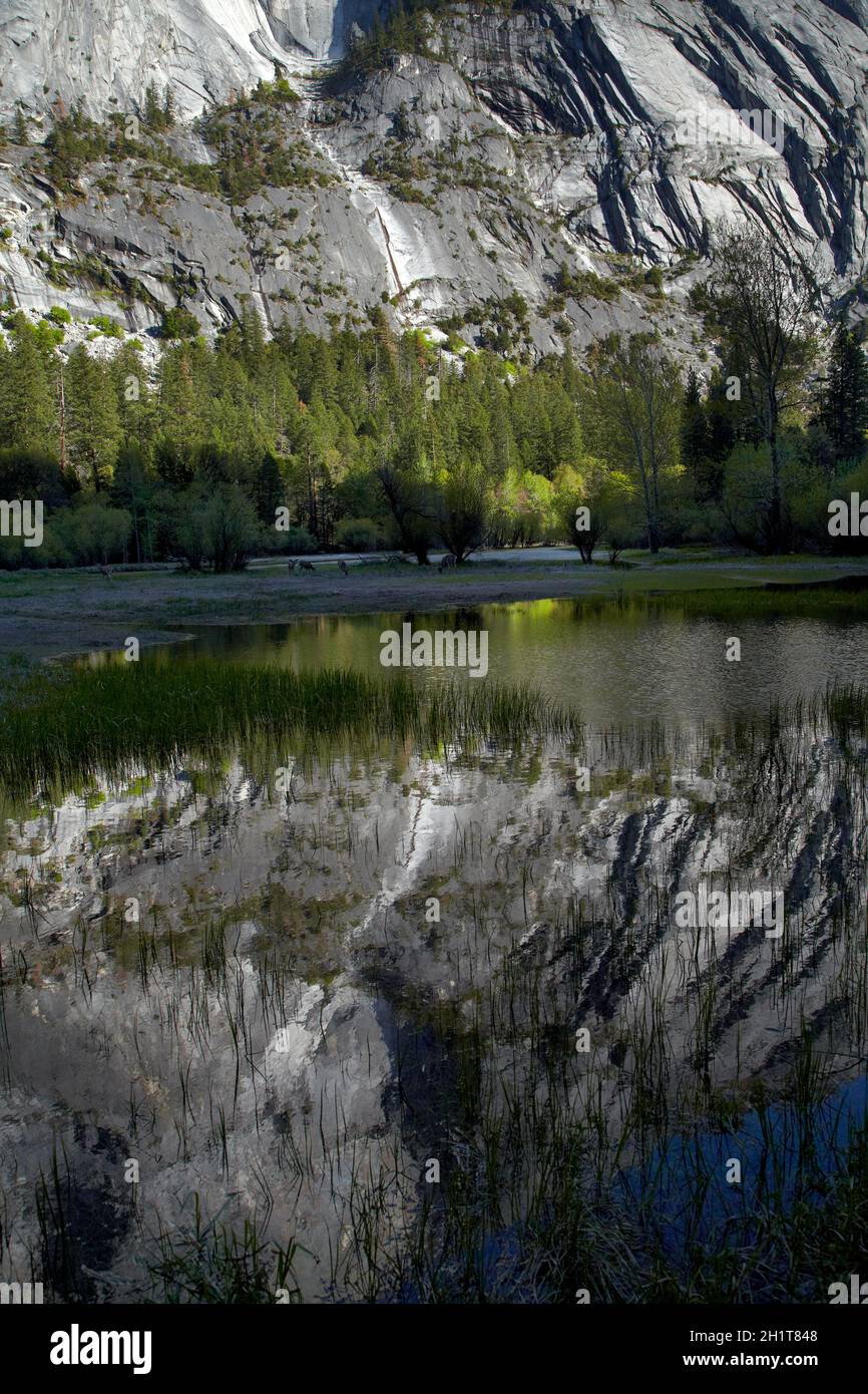 A nord-ovest di fronte di Half Dome, riflesso nel Mirror Lake, il Parco Nazionale Yosemite in California, Stati Uniti d'America Foto Stock