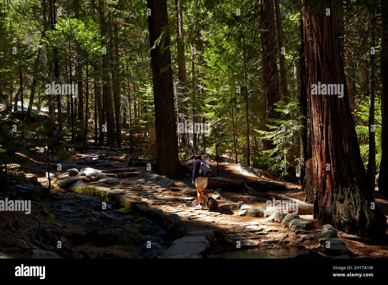 People in Forest on the Mist Trail, to Vernal Fall and Nevada Fall, Yosemite National Park, California, Stati Uniti (modello rilasciato) Foto Stock