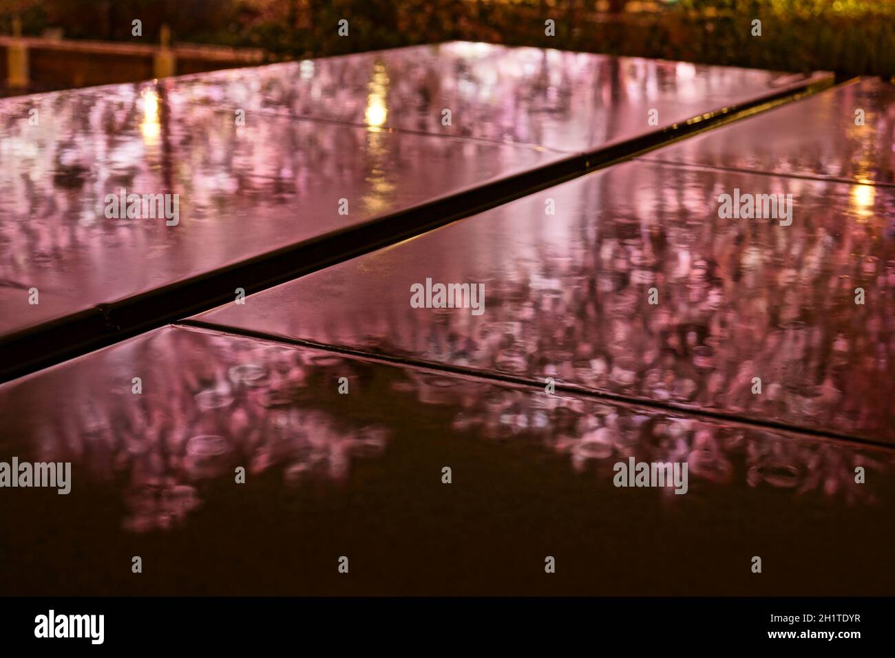 Fioritura dei ciliegi nel centro di Tokyo. Luogo di ripresa: Area metropolitana di Tokyo Foto Stock