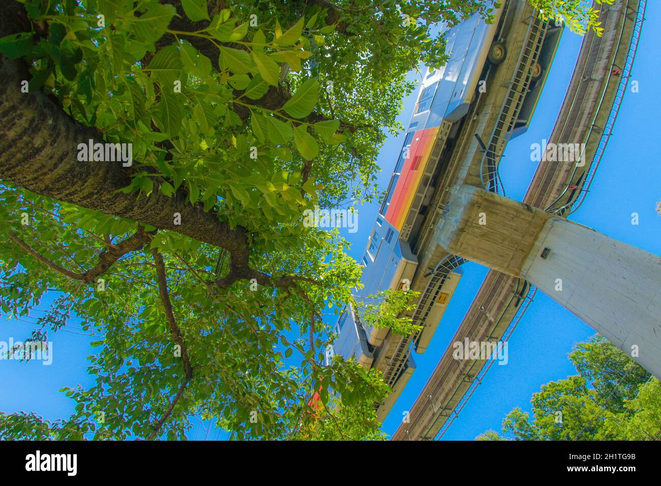 Tama Monorotaia e il verde fresco. Luogo di tiro: Hino City, Tokyo Foto Stock