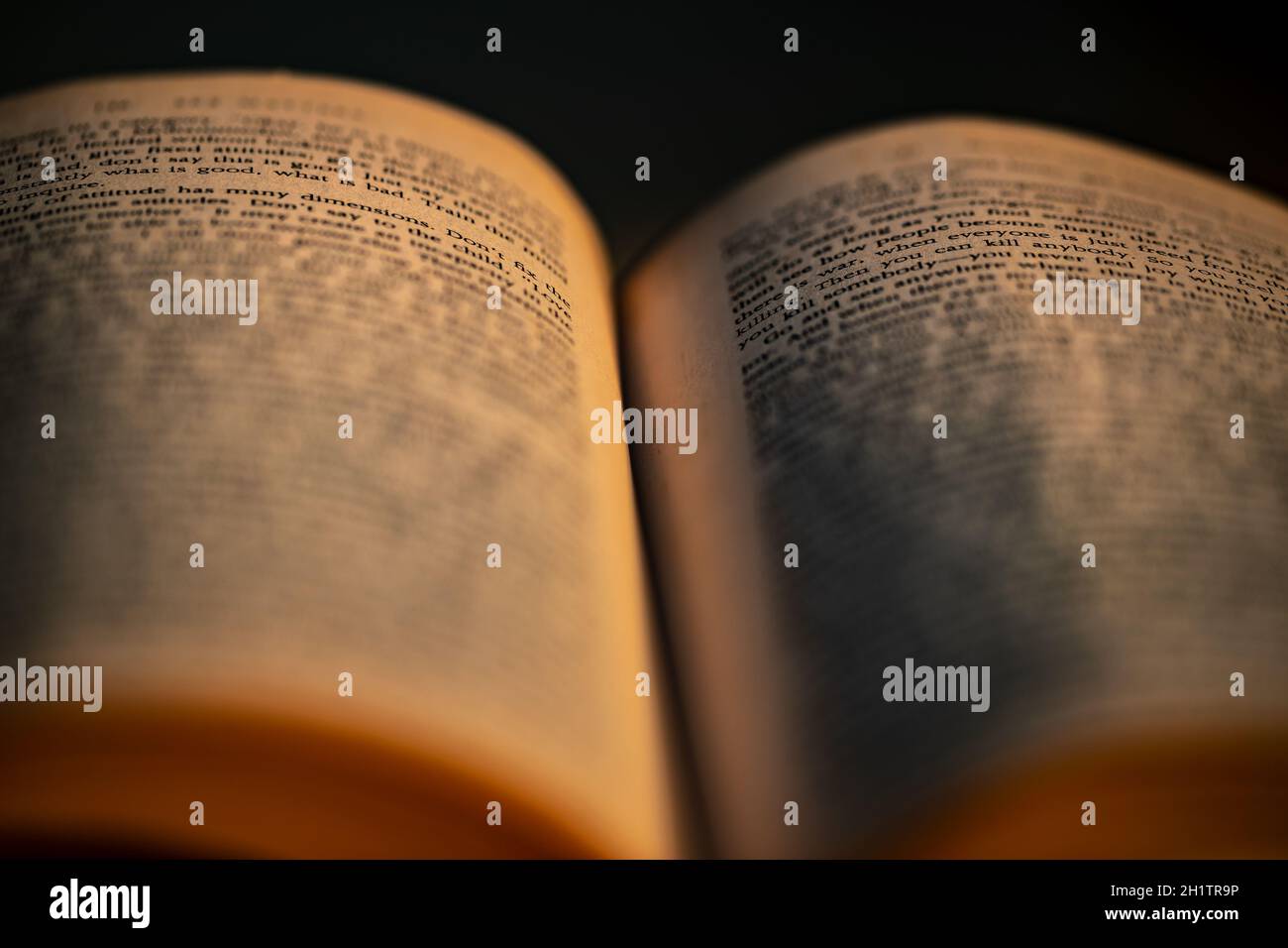 Apri libro in scuro illuminato con luce dorata. Tempo perfetto per leggere interessante Detective Story. Hobby educativo e tempo libero. Foto Stock