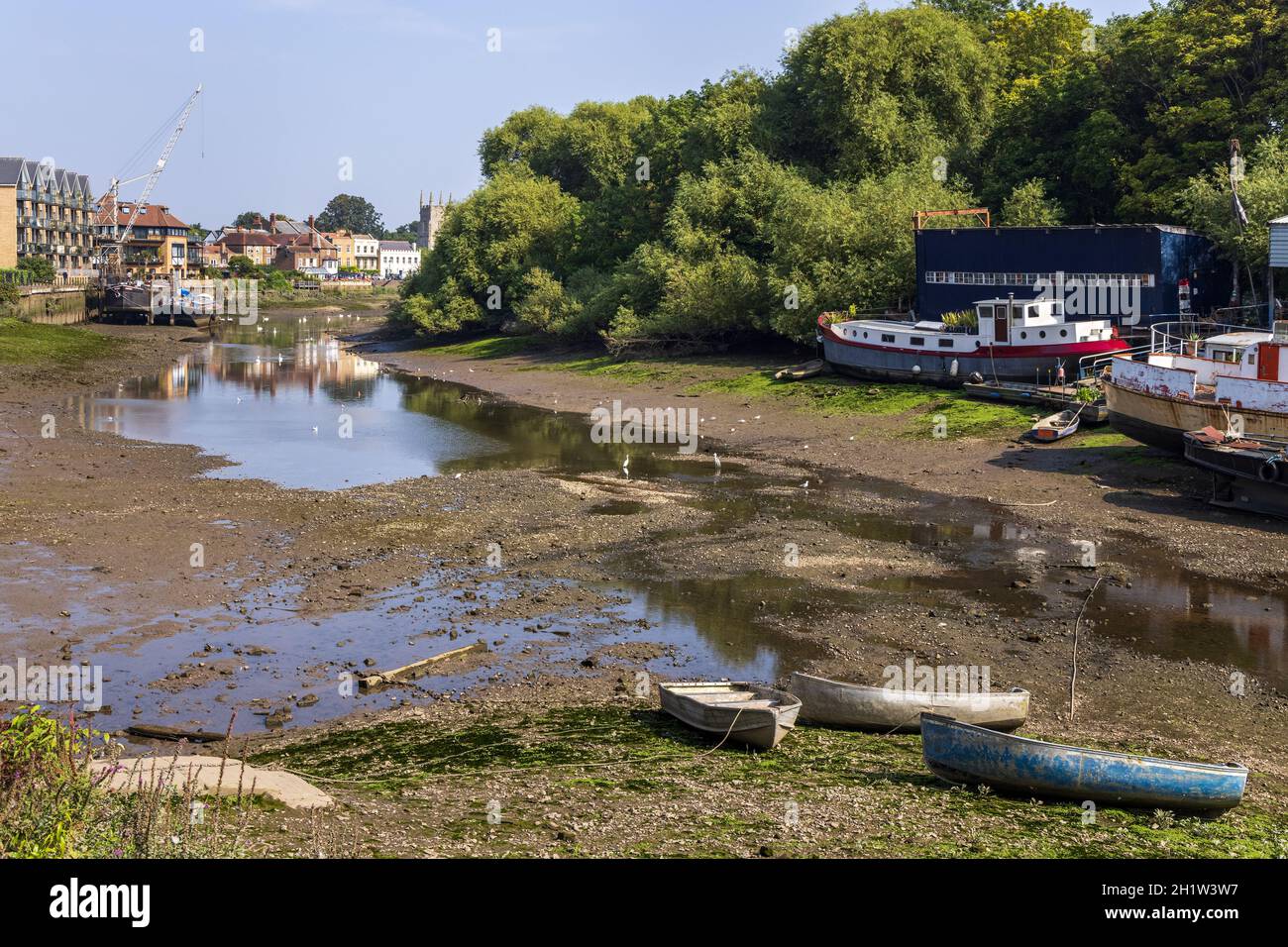 Il Tamigi a Isleworth con la bassa marea, con Isleworth Ait e il cantiere di Wood sulla destra. Foto Stock