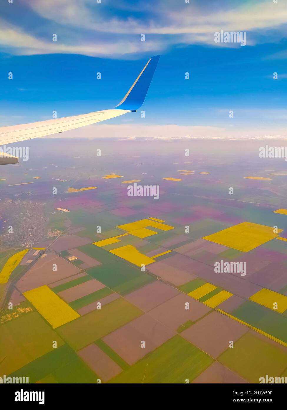 Paesaggio incredibilmente bello di campo di grano saraceno fiorito da aereo o vista dalla finestra dell'aeroplano Foto Stock